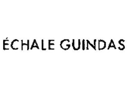 Echale Guindas Logo