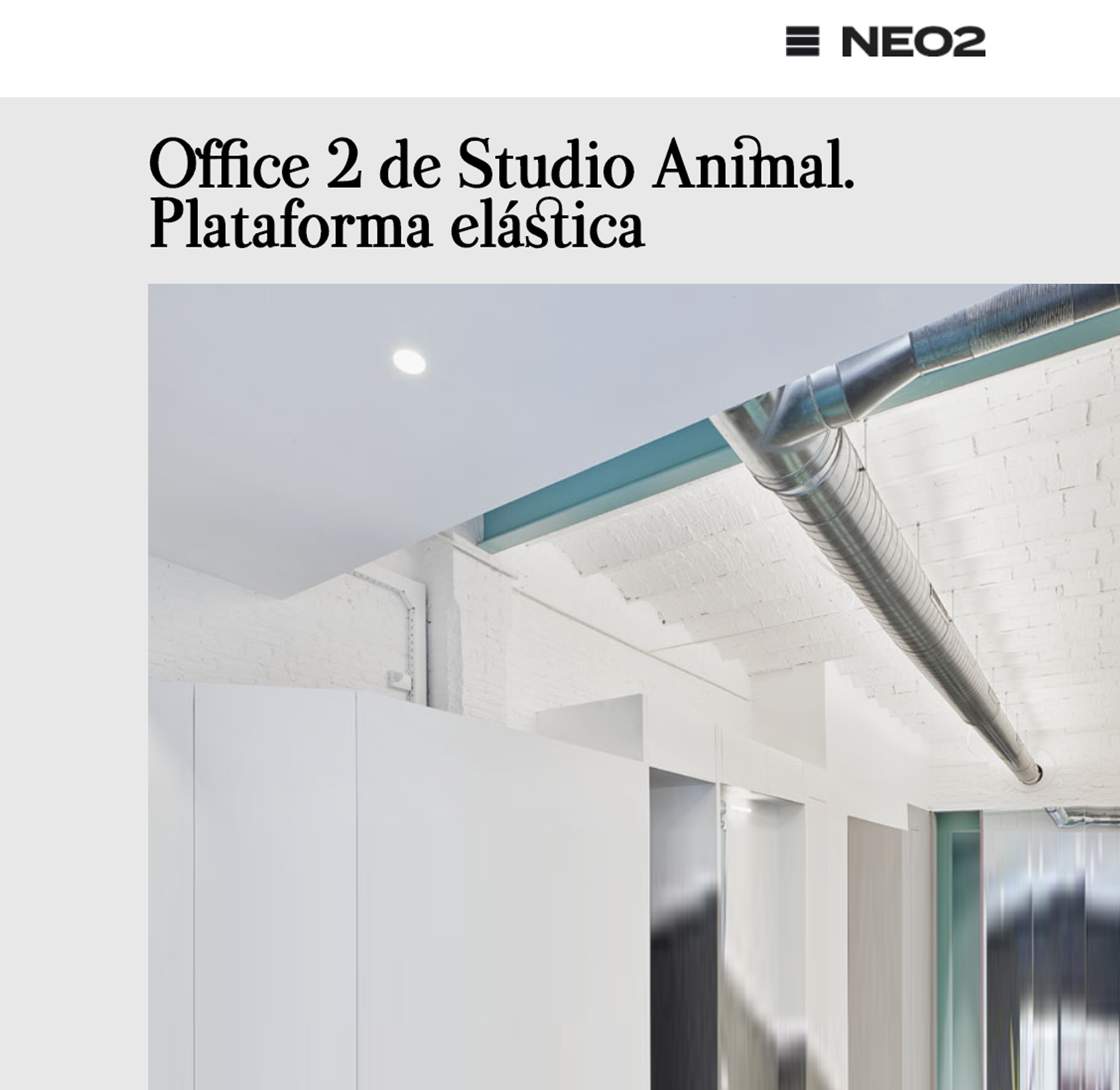 NEO2 Studio Animal